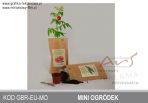 Zestaw do uprawy mini ogródka Agencja Reklamowa Ars Nominem Kraków, Warszawa poleca rośliny reklamowe, zestaw do uprawy mini ogródka, grb-eu-mo